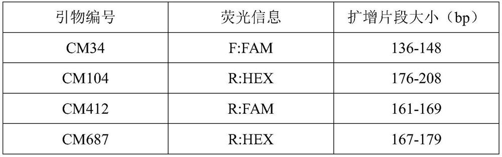 Microsatellite Primer Combination and Application for Identification of Genetic Relationship in Eggs of Green-tailed Pheasant's Pheasant