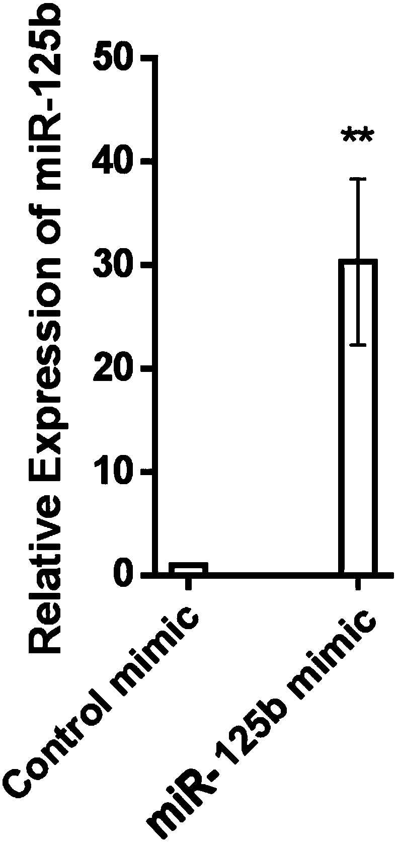 A method for improving the efficiency of bovine cloning by utilizing microribonucleic acid