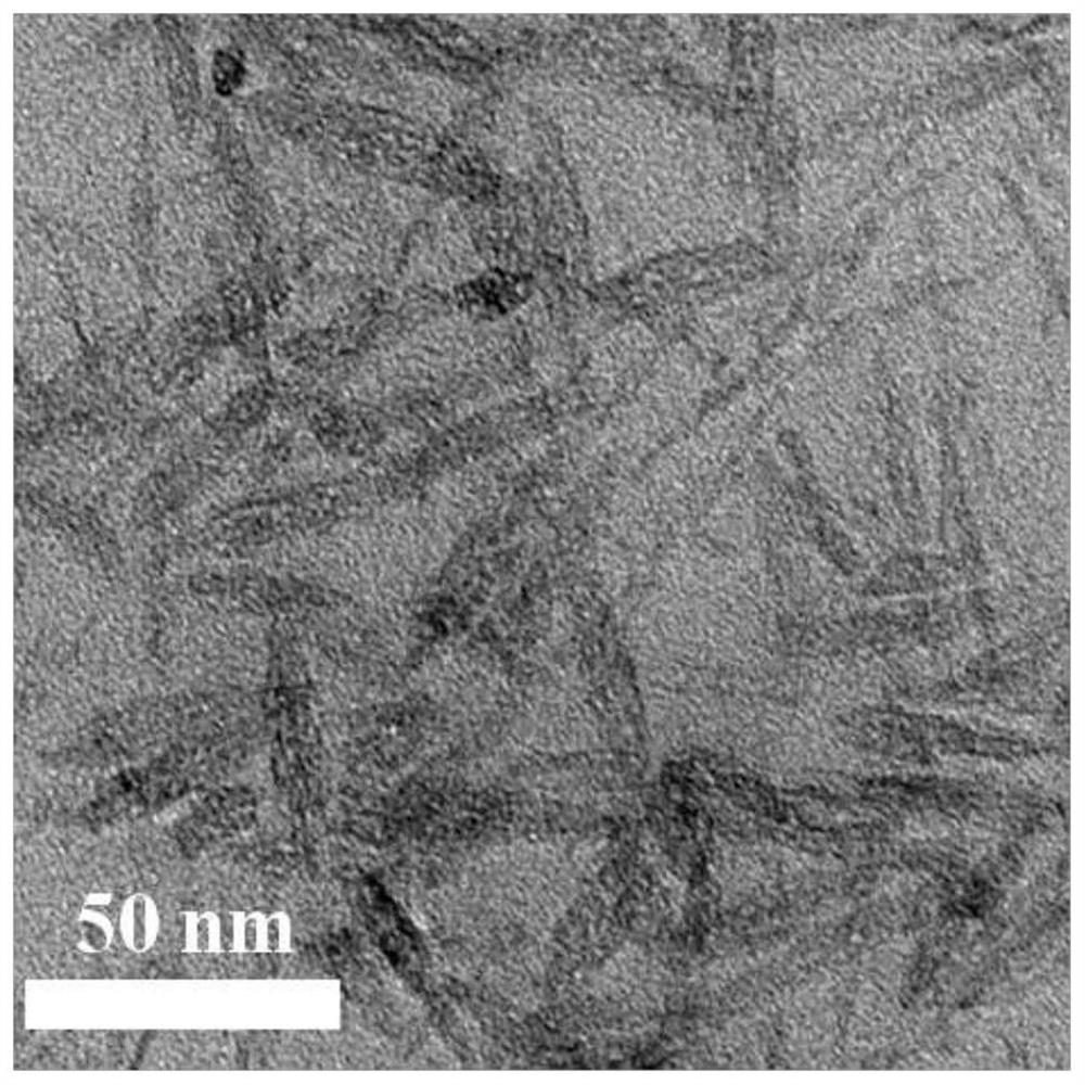 A platinum-based single-atom nanozyme for combined tumor therapy and preparation method thereof