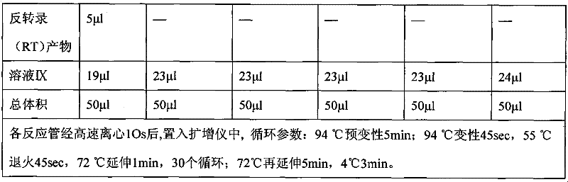 Animal insect-borne disease multi-RT-PCR distinguishing and detecting reagent as well as preparation method and application