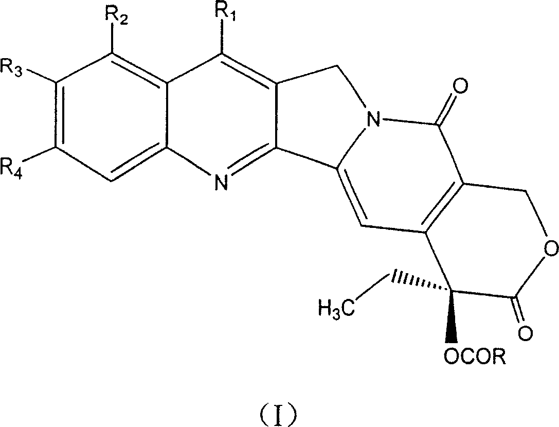 20-esterifiable camptothecine derivative and method for making same and pharmaceutical combination and uses