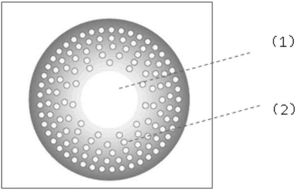 Active artificial cornea and preparation method thereof