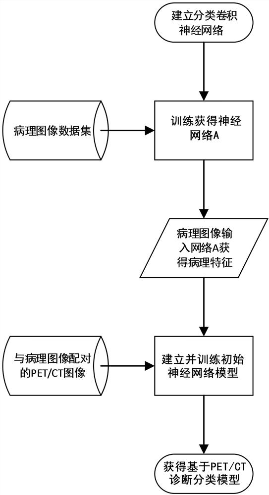 PET/CT (positron emission tomography/computed tomography)-based lung adenocarcinoma and squamous carcinoma diagnosis model training method and device