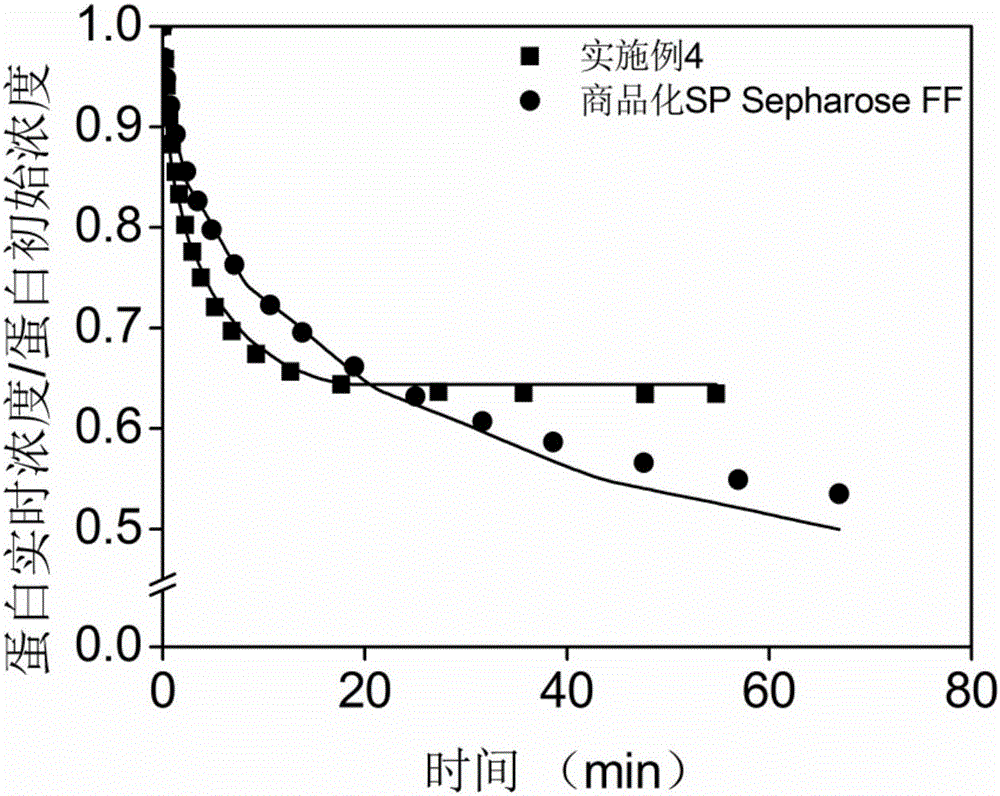 Succinic anhydride modified polymine grafting medium, preparation method and application thereof