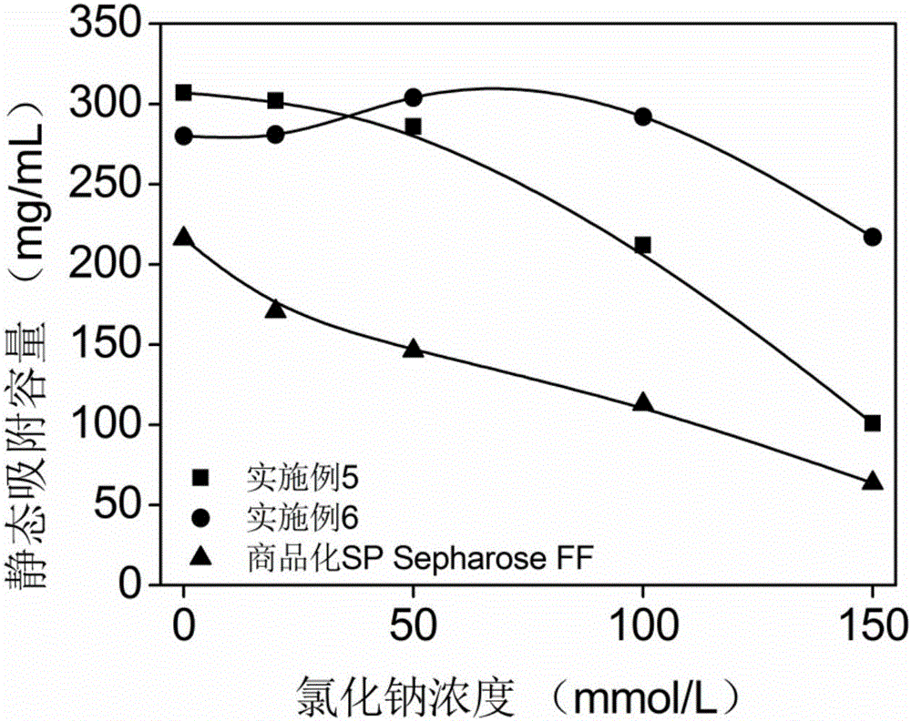 Succinic anhydride modified polymine grafting medium, preparation method and application thereof