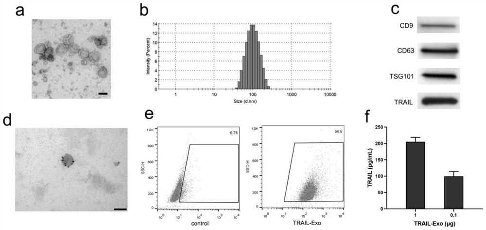 Composite exosome loaded with membrane-bound tumor necrosis factor-related apoptosis-inducing ligand and small-molecule antitumor drug