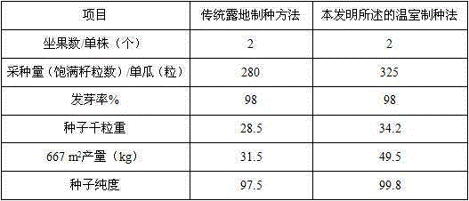 Greenhouse seed production method of thick-skinned muskmelon