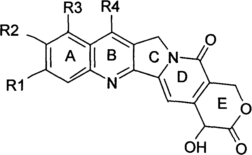 Stable camptothecine liposome composition