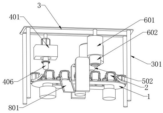 Device and method for packaging quick-frozen fruits and vegetables