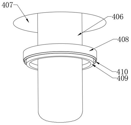 Device and method for packaging quick-frozen fruits and vegetables