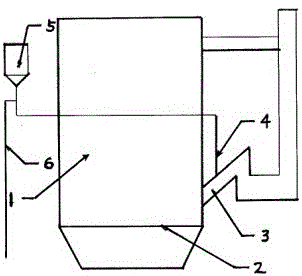 Combined combustion system for circulating fluidized bed