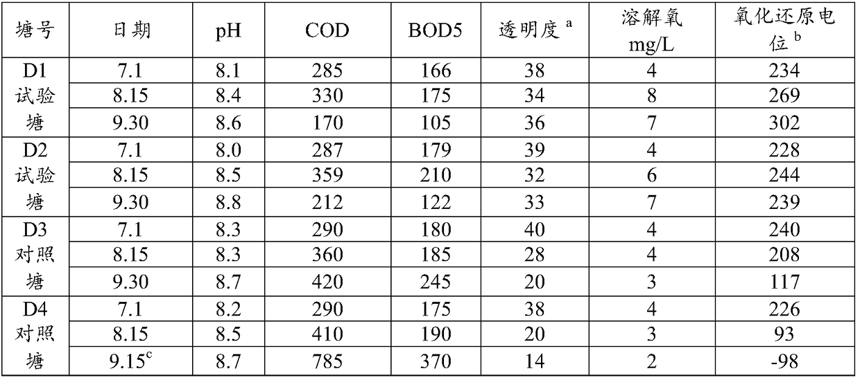 Microbial preparation for ecological safety water systems and preparation method thereof