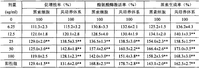 Use of effective parts of galangal in preparation of medicine for treating vitiligo