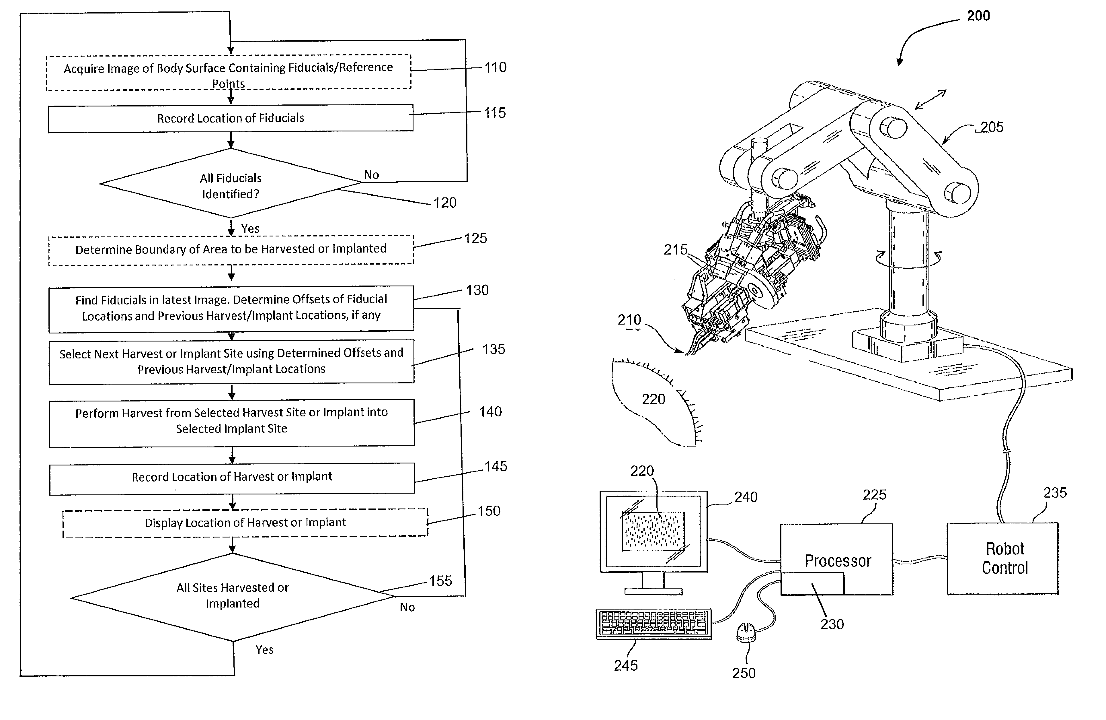 Methods and systems for directing movement of a tool in hair transplantation procedures