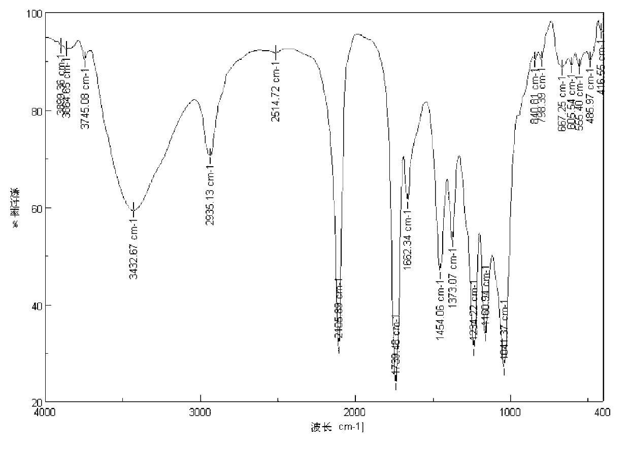 Amphiphilic amido inulin and preparation method thereof