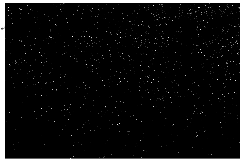 Application of copper nanocluster as fluorescent probe for specifically detecting the content of rifampicin in solution