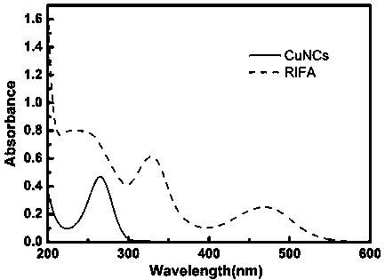 Application of copper nanocluster as fluorescent probe for specifically detecting the content of rifampicin in solution