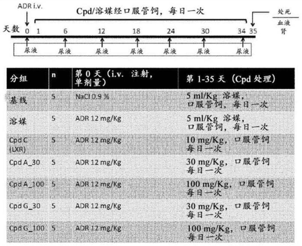 Compounds for use in treating kidney disorders