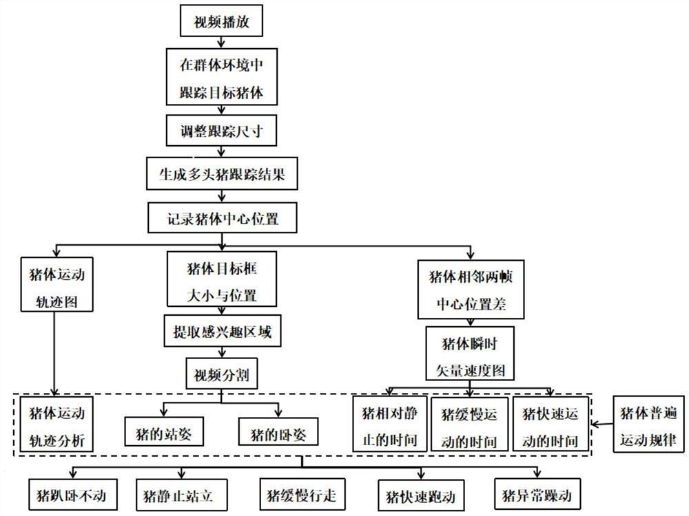 Multi-pig motion trail extraction and behavior analysis method in group environment