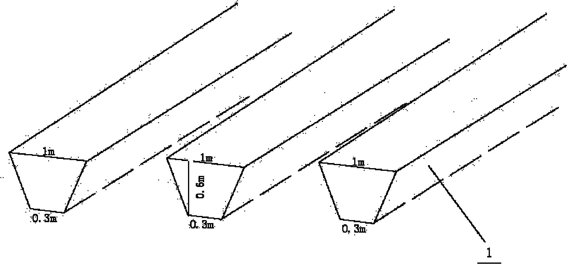 Coastal protection forest construction method