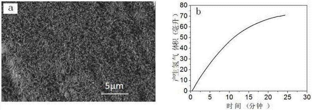 Transition metal phosphide serving as hydrogen preparation catalyst of hydrolysis reaction of borohydride