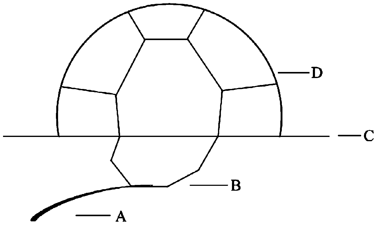 Method for making resin slices of mature grain seeds