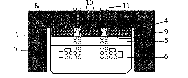 A seed crystal holder for growing high-quality silicon carbide crystals