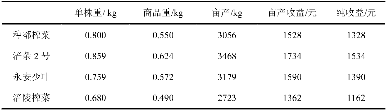 Method for improving quality of flue-cured tobacco through crop rotation