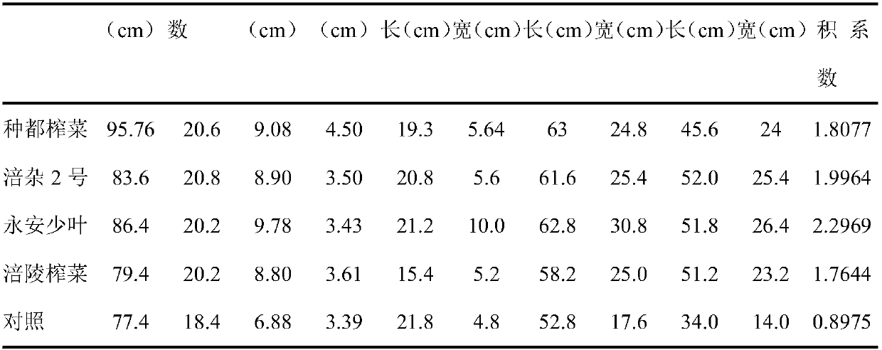 Method for improving quality of flue-cured tobacco through crop rotation