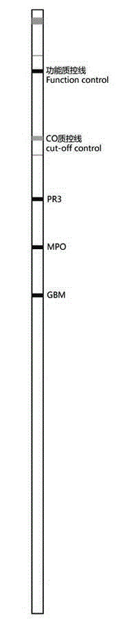 Kit for detecting vasculitis related autoantibody repertoire