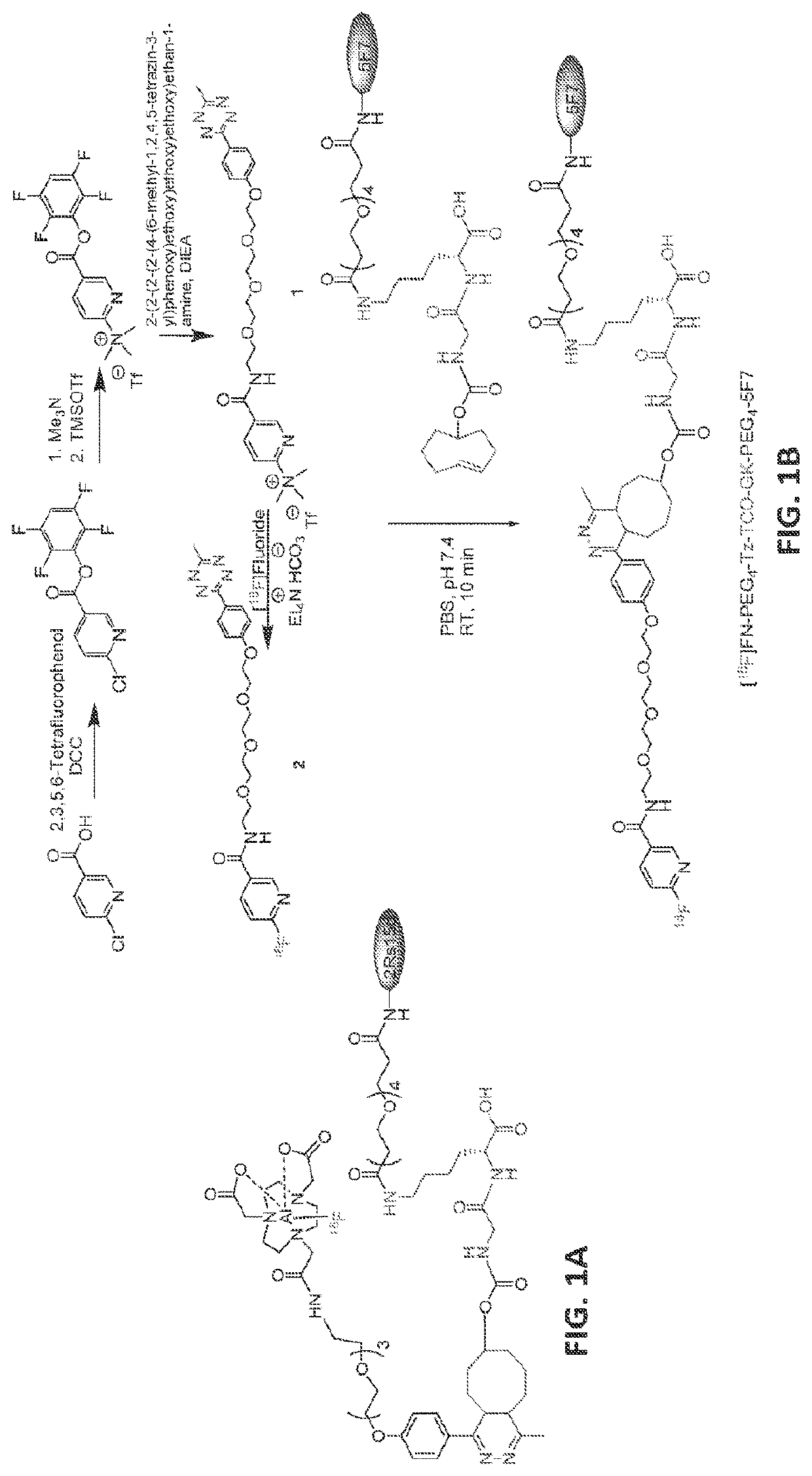 18f-radiolabeled biomolecules