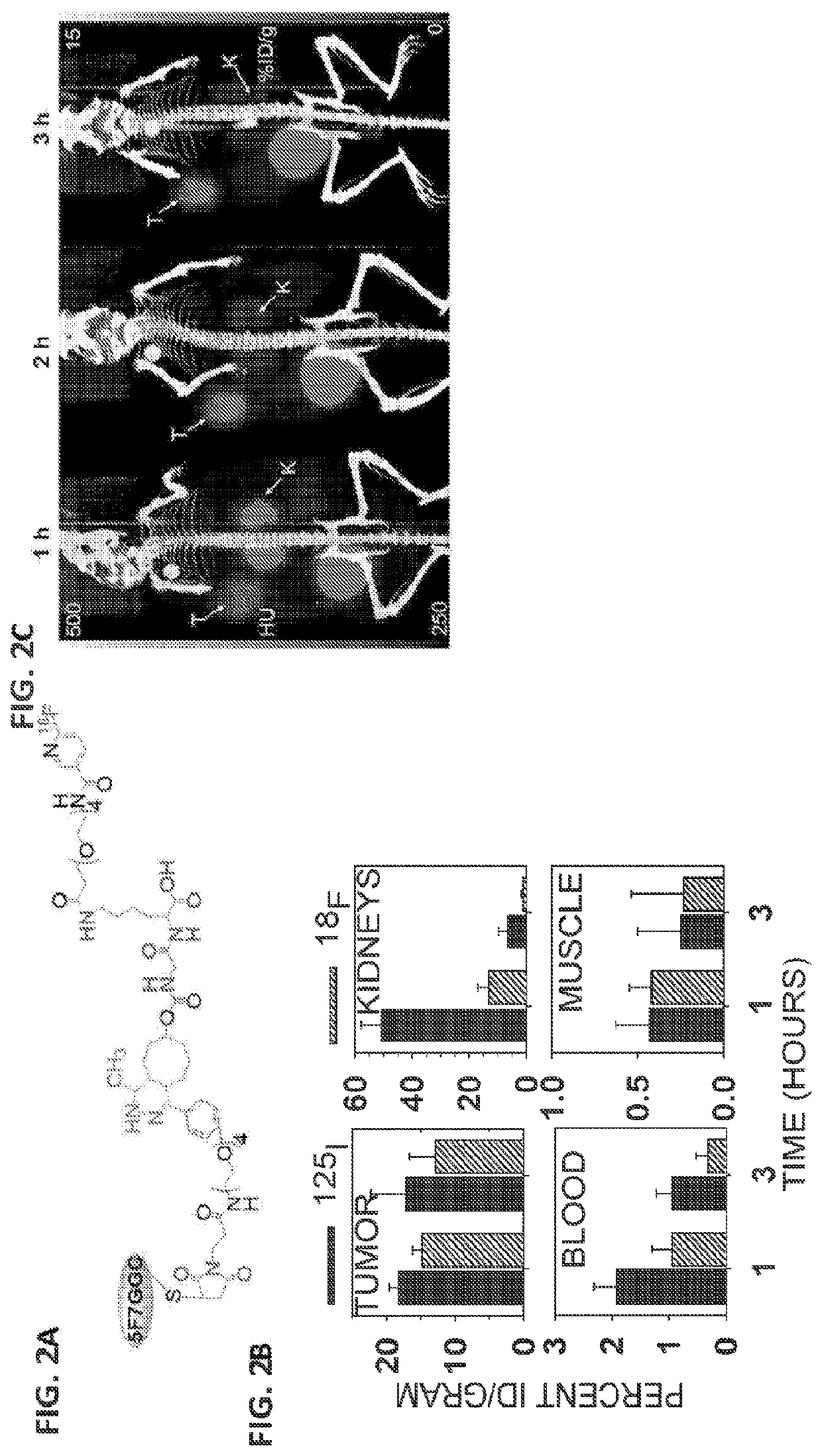 18f-radiolabeled biomolecules