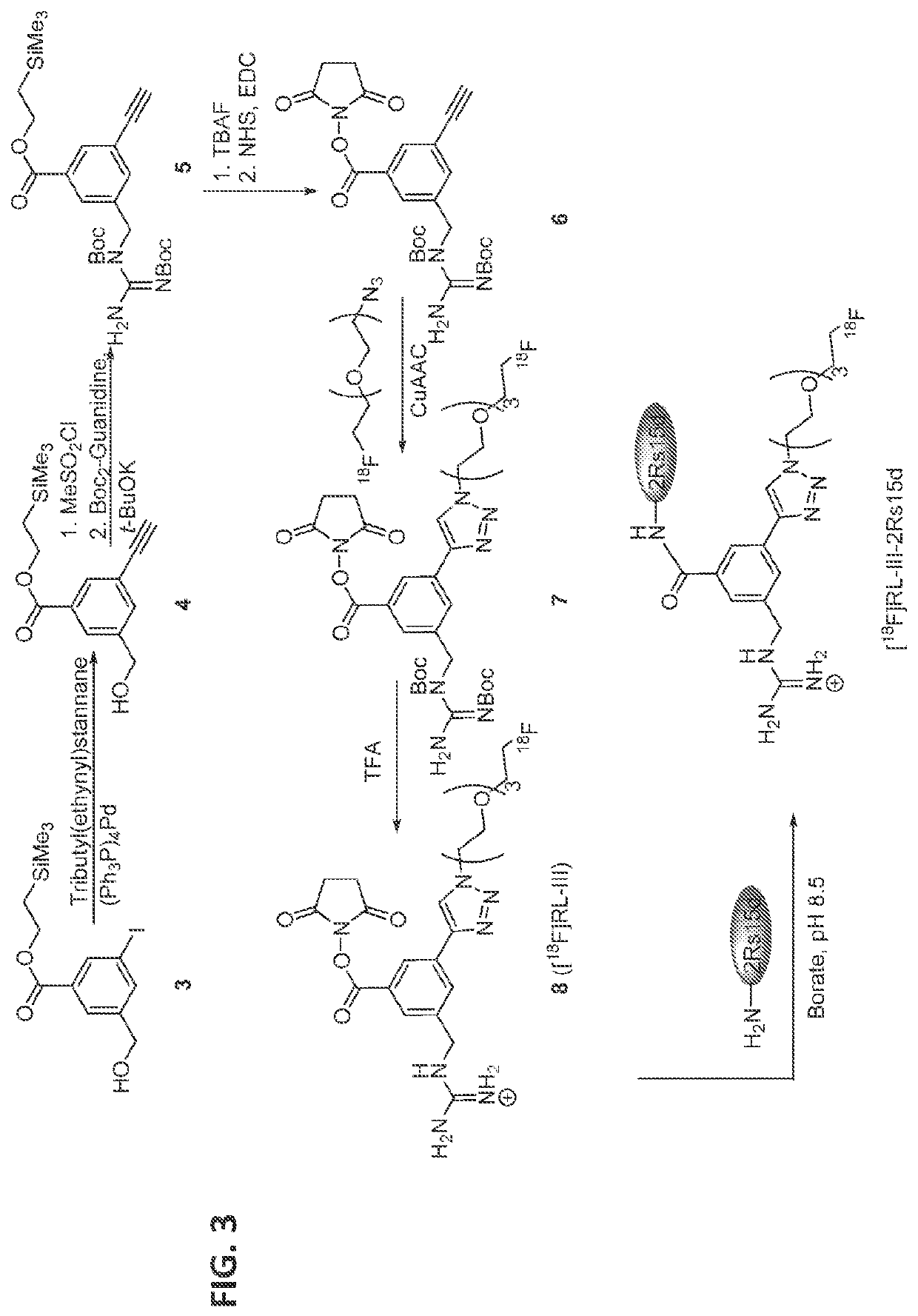 18f-radiolabeled biomolecules