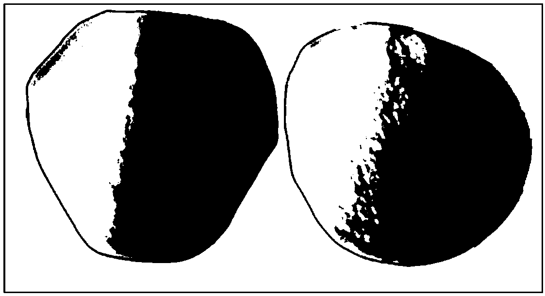 Preparation method of nanocellulose/filter paper composite filter membrane material