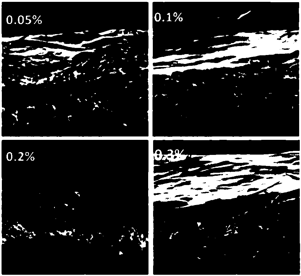 Preparation method of nanocellulose/filter paper composite filter membrane material