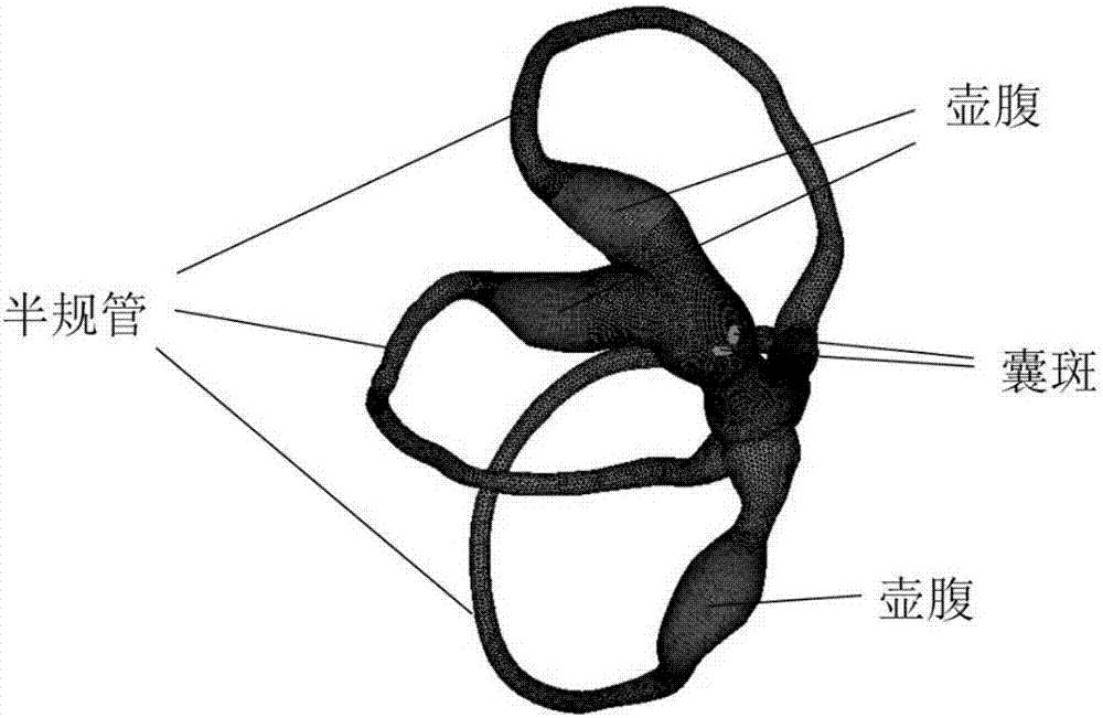 Non-contact type motion sickness reliving method