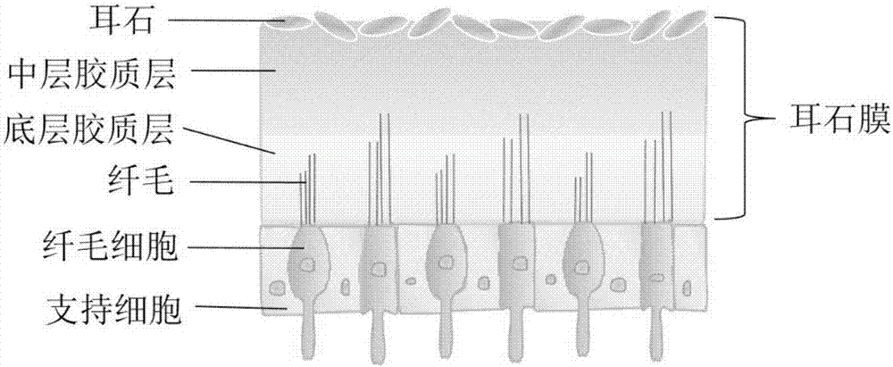 Non-contact type motion sickness reliving method