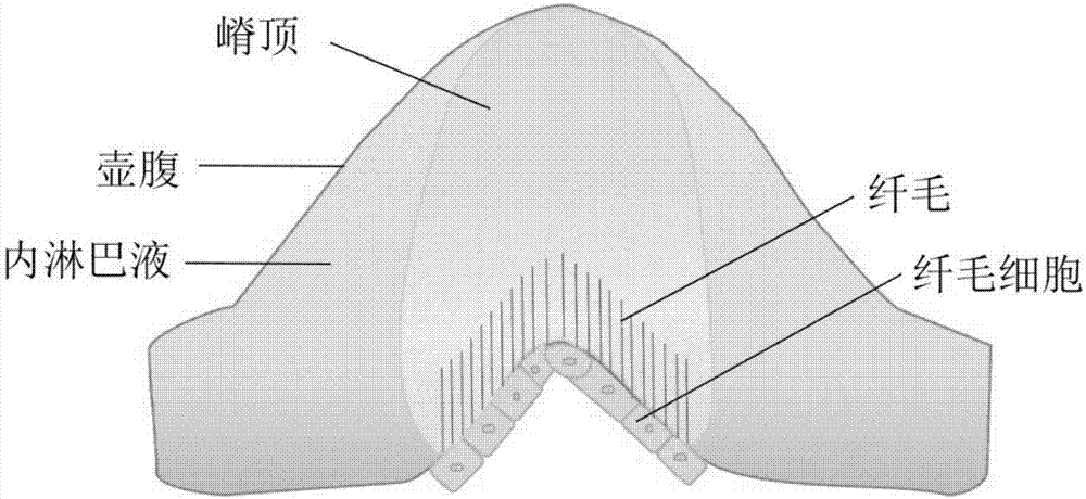 Non-contact type motion sickness reliving method