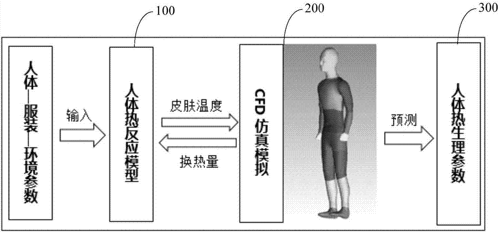 Coupled system and coupled method of CDF and human-body thermal reaction model