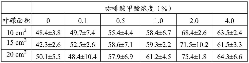 Method for increasing parasitic rate of glyphodes pyloalis parasitic wasps by using methyl caffeate