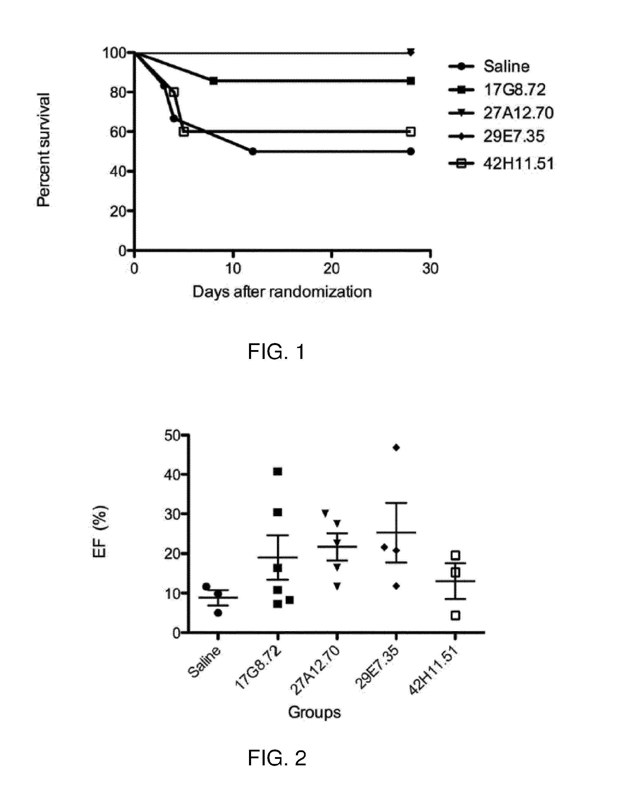 Immunoglobulin-like molecules directed against fibronectin-eda