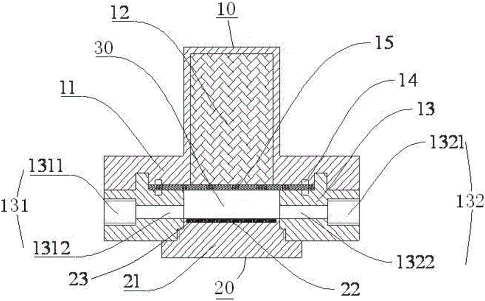 Device and method for rapidly detecting nitrogen dioxide