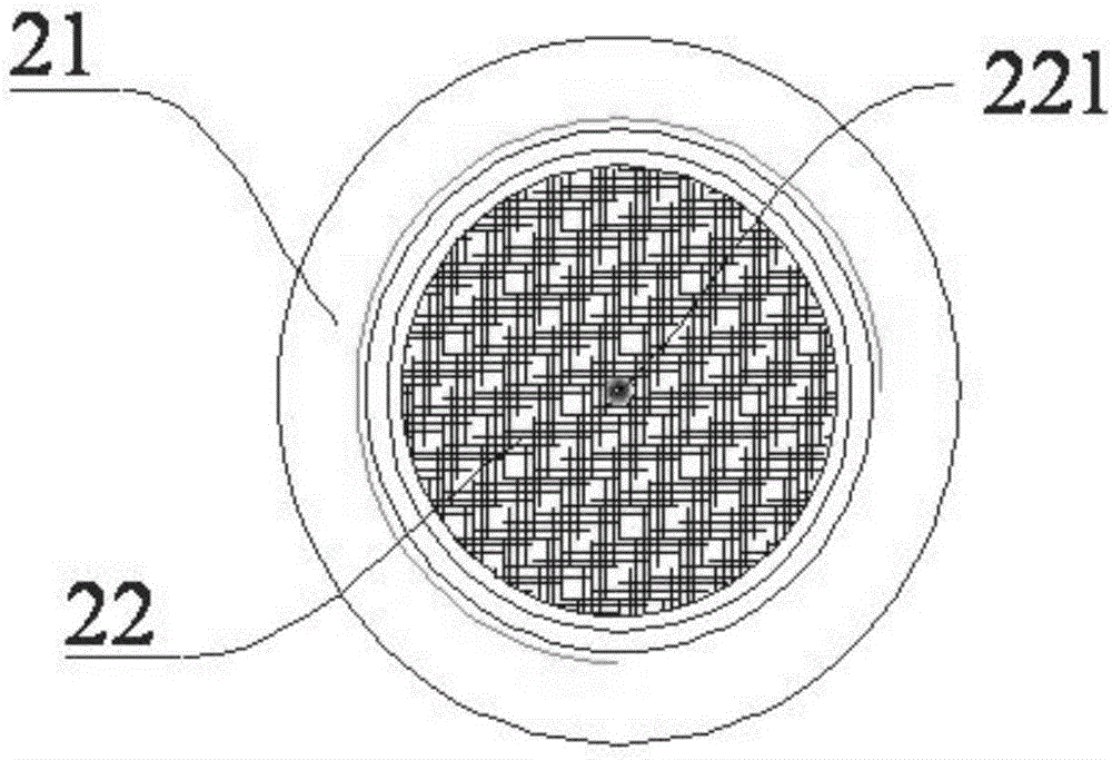 Device and method for rapidly detecting nitrogen dioxide