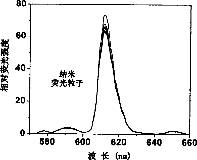 Beta-diketone-trivalent europium complex nano fluorescent probe, its preparation and use thereof