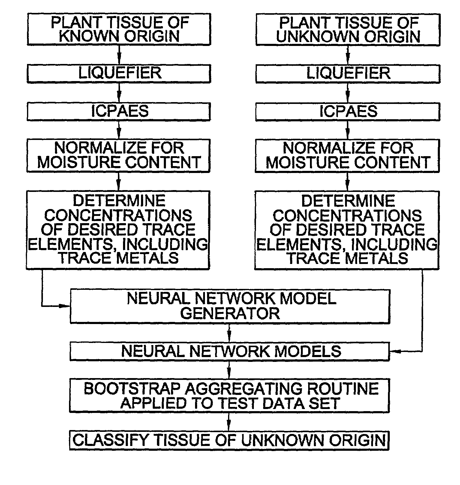 Identification system and method for determining the geographic origin of a fresh commodity