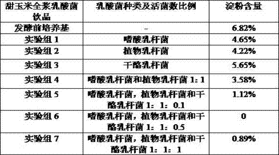 Sweet corn syrup lactic acid bacteria beverage and preparation method thereof