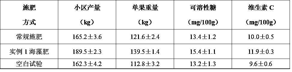 Production method of natural organic seaweed fertilizer