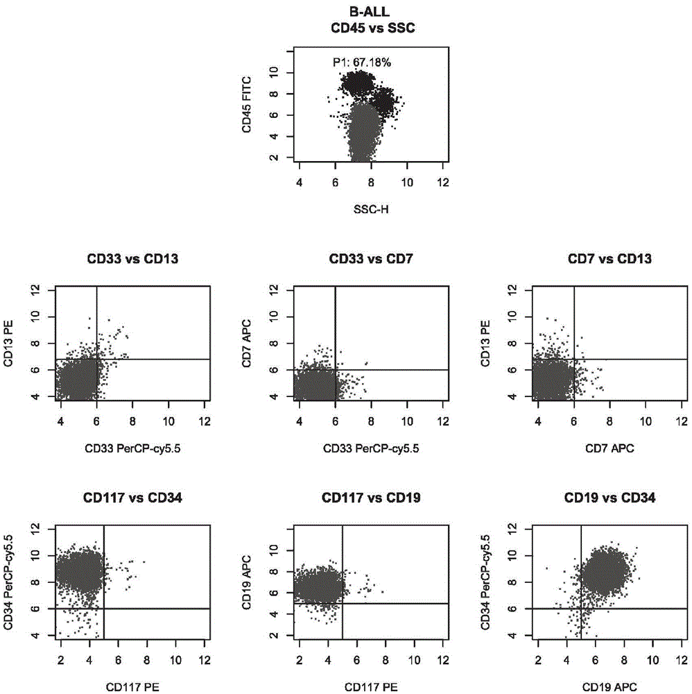 Antibody composition and application of antibody composition in leukemia and lymphoma typing