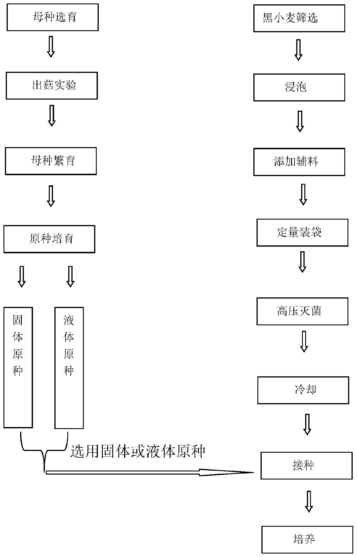 A kind of breeding method of Agaricus bisporus strain suitable for standardized factory