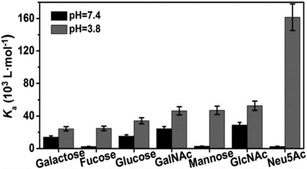 Lactose-based intelligent polymer and application thereof